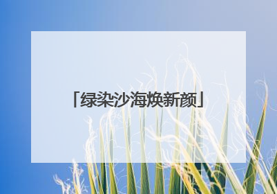 绿染沙海焕新颜