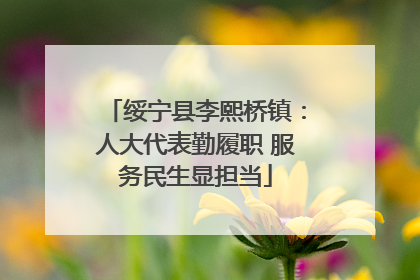 绥宁县李熙桥镇：人大代表勤履职 服务民生显担当