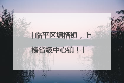 临平区塘栖镇，上榜省级中心镇！