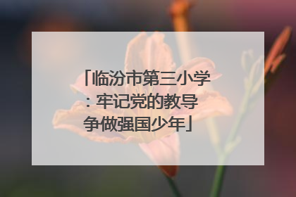 临汾市第三小学:牢记党的教导 争做强国少年