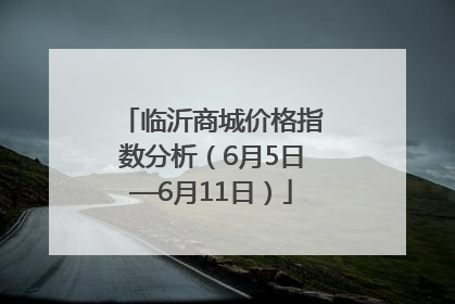 临沂商城价格指数分析（6月5日—6月11日）