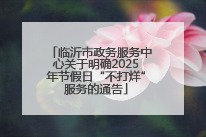 临沂市政务服务中心关于明确2025年节假日“不打烊”服务的通告