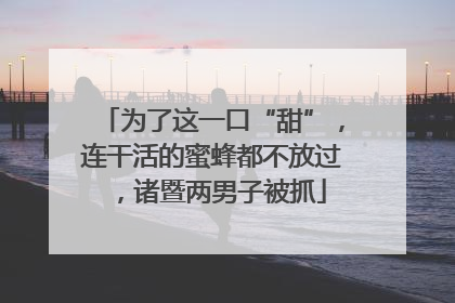 为了这一口“甜”，连干活的蜜蜂都不放过，诸暨两男子被抓