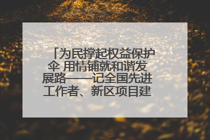 为民撑起权益保护伞 用情铺就和谐发展路——记全国先进工作者、新区项目建设中心干部卢小勇