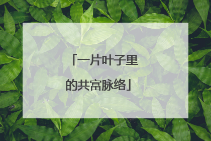 一片叶子里的共富脉络