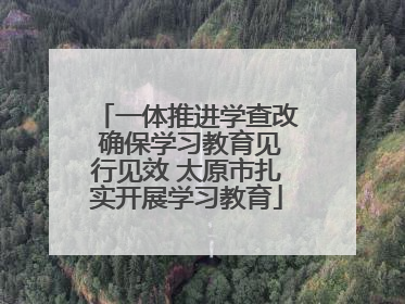 一体推进学查改 确保学习教育见行见效 太原市扎实开展学习教育