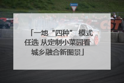 一地“四种” 模式任选 从定制小菜园看城乡融合新图景