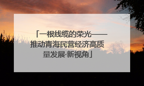 一根线缆的荣光——推动青海民营经济高质量发展·新视角