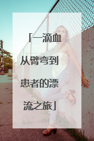 一滴血从臂弯到患者的漂流之旅