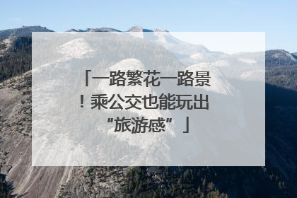 一路繁花一路景！乘公交也能玩出“旅游感”