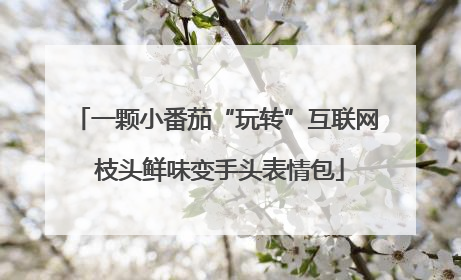 一颗小番茄“玩转”互联网 枝头鲜味变手头表情包