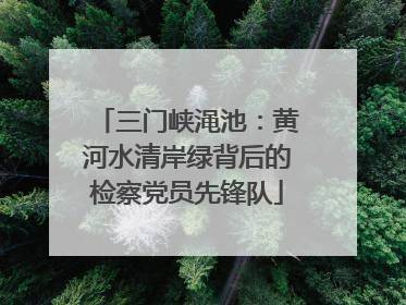 三门峡渑池：黄河水清岸绿背后的检察党员先锋队