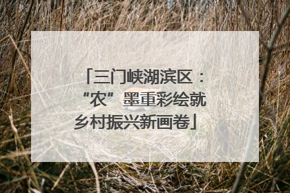 三门峡湖滨区：“农”墨重彩绘就乡村振兴新画卷