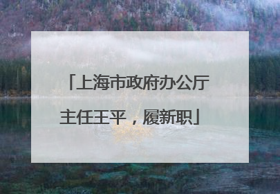 上海市政府办公厅主任王平，履新职