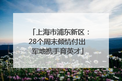 上海市浦东新区：28个周末倾情付出 军地携手育英才