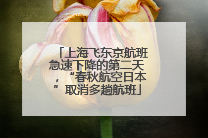 上海飞东京航班急速下降的第二天，“春秋航空日本”取消多趟航班
