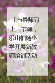 与导师同上一节课，乐山柏杨小学开展新教师培训活动