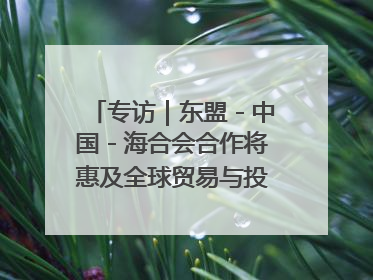 专访｜东盟－中国－海合会合作将惠及全球贸易与投资——访马来西亚亚太“一带一路”共策会高级研究员本恩·纳戈拉