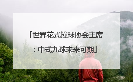 世界花式撞球协会主席：中式九球未来可期