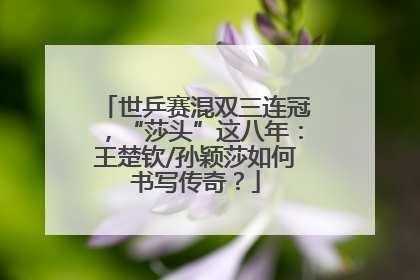 世乒赛混双三连冠，“莎头”这八年：王楚钦/孙颖莎如何书写传奇？