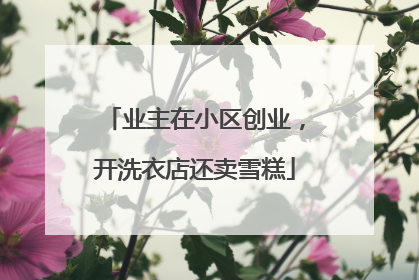 业主在小区创业，开洗衣店还卖雪糕