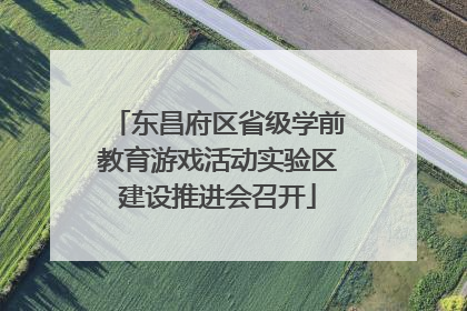 东昌府区省级学前教育游戏活动实验区建设推进会召开