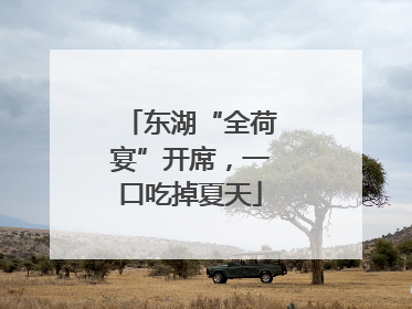 东湖“全荷宴”开席，一口吃掉夏天