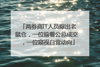 两券商IT人员曝出老鼠仓，一位偷看公募成交，一位窥视自营动向