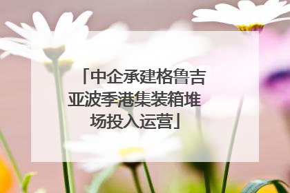 中企承建格鲁吉亚波季港集装箱堆场投入运营