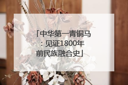 中华第一青铜马：见证1800年前民族融合史