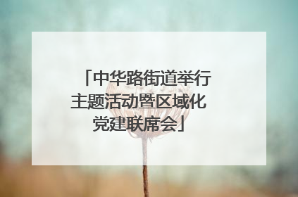 中华路街道举行主题活动暨区域化党建联席会