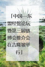 中国—东盟经贸论坛暨第三届链博会推介会在吉隆坡举行
