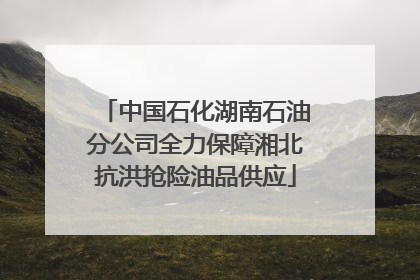 中国石化湖南石油分公司全力保障湘北抗洪抢险油品供应