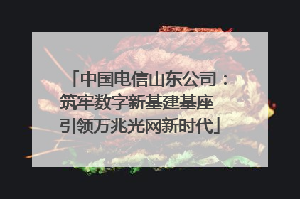 中国电信山东公司：筑牢数字新基建基座 引领万兆光网新时代