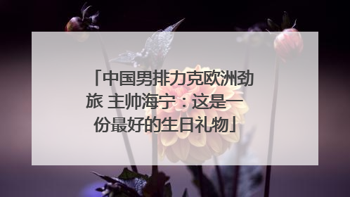 中国男排力克欧洲劲旅 主帅海宁：这是一份最好的生日礼物
