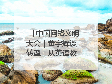 中国网络文明大会｜董宇辉谈转型：从英语教师到互联网的“秦腔”之路