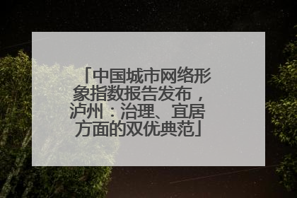 中国城市网络形象指数报告发布，泸州：治理、宜居方面的双优典范
