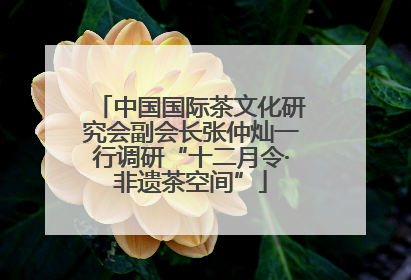 中国国际茶文化研究会副会长张仲灿一行调研“十二月令·非遗茶空间”