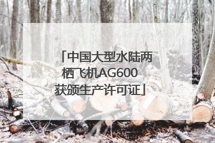 中国大型水陆两栖飞机AG600获颁生产许可证