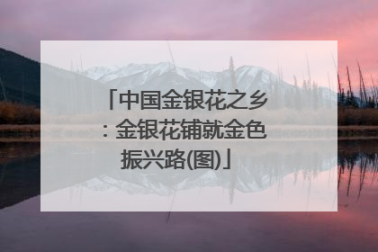 中国金银花之乡：金银花铺就金色振兴路(图)