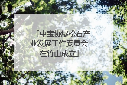 中宝协绿松石产业发展工作委员会在竹山成立