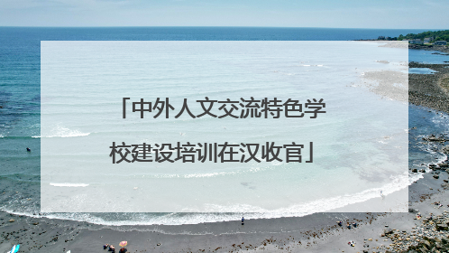 中外人文交流特色学校建设培训在汉收官
