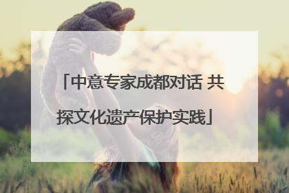 中意专家成都对话 共探文化遗产保护实践