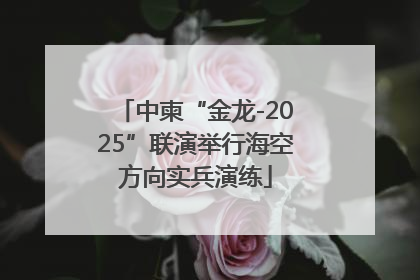 中柬“金龙-2025”联演举行海空方向实兵演练