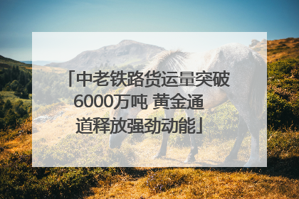 中老铁路货运量突破6000万吨 黄金通道释放强劲动能