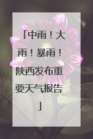 中雨！大雨！暴雨！陕西发布重要天气报告