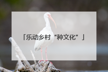 乐动乡村“种文化”