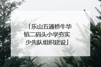乐山五通桥牛华镇二码头小学夯实少先队组织建设