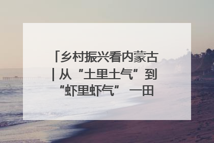 乡村振兴看内蒙古｜从“土里土气”到“虾里虾气” 一田双收模式火出圈