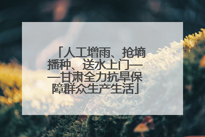 人工增雨、抢墒播种、送水上门——甘肃全力抗旱保障群众生产生活